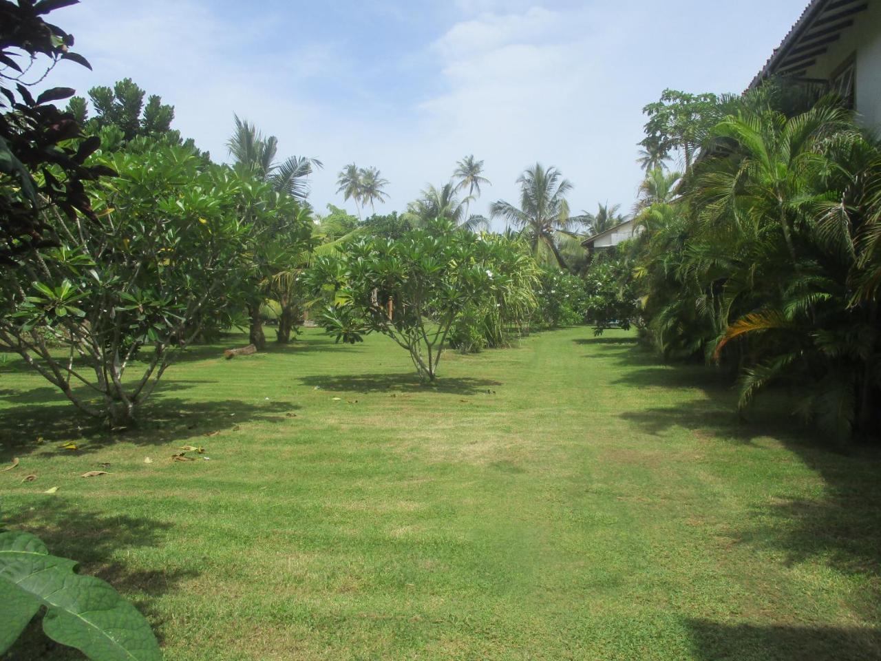 Raja Beach Hotel Balapitiya Exterior photo