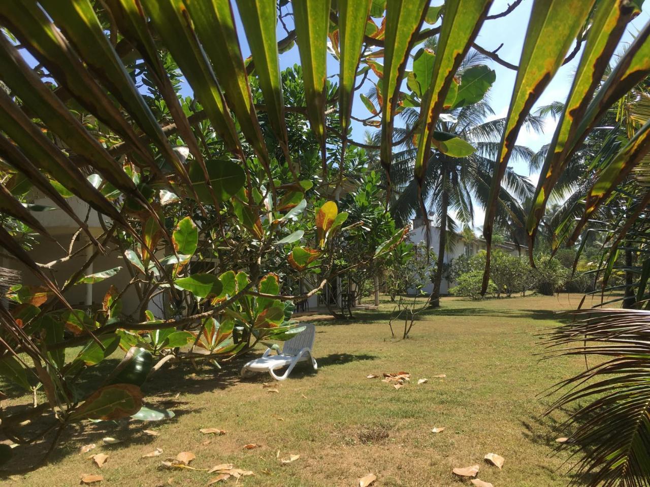 Raja Beach Hotel Balapitiya Exterior photo